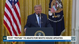 Дональд Трамп выступает на митинге, США