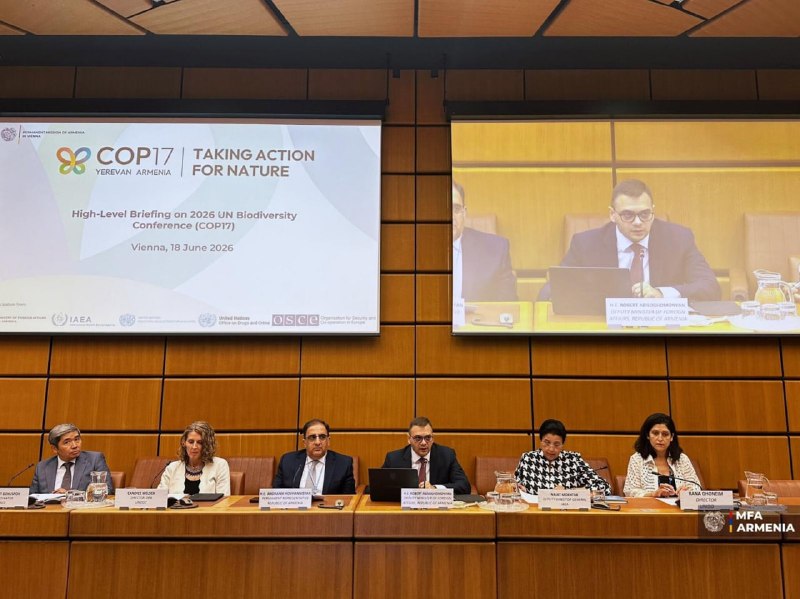 В Вене обсудили подготовку к COP17 по биоразнообразию в Ереване: выступление замглавы МИД Армении