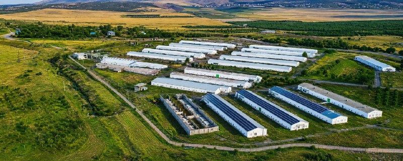 Птицефабрика «Гетамеч» возобновила работу после масштабной модернизации