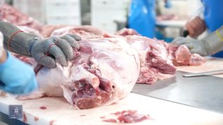 Компания «Атенк» запускает новый этап развития: от производства до экспорта мясных продуктов