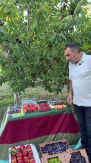 Первая партия армянских фруктов отправлена в ОАЭ — экспорт из Малатии-Себастии
